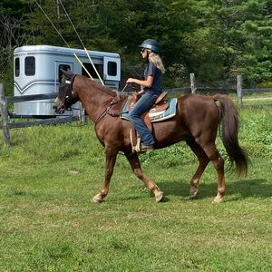 Meet your Posher, Leah